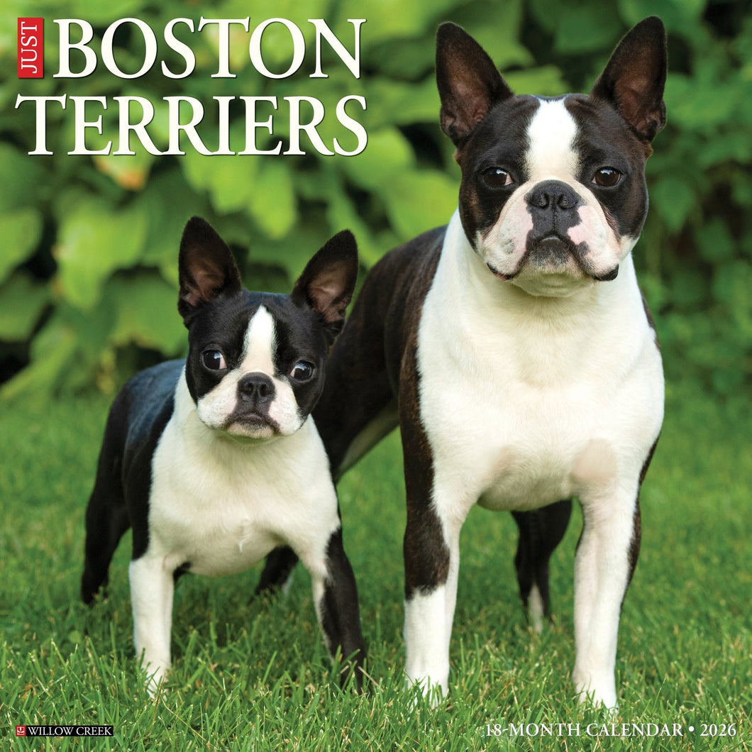Willow Creek Boston Terriers 2026 12