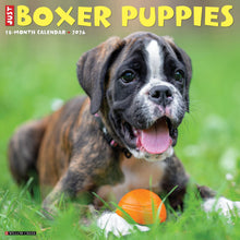 Load image into Gallery viewer, Willow Creek Boxer Puppies 2026 12&quot; x 12&quot; Wall Calendar
