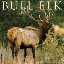 Load image into Gallery viewer, Willow Creek Bull Elk 2026 12&quot; x 12&quot; Wall Calendar
