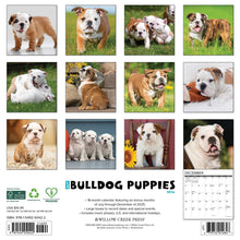 Load image into Gallery viewer, Willow Creek Bulldog Puppies 2026 12&quot; x 12&quot; Wall Calendar
