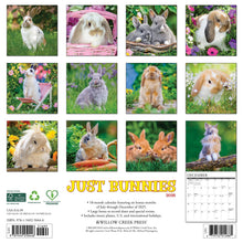 Load image into Gallery viewer, Willow Creek Bunnies 2026 12&quot; x 12&quot; Wall Calendar
