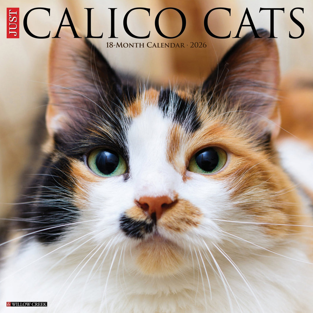 Willow Creek Calico Cats 2026 12