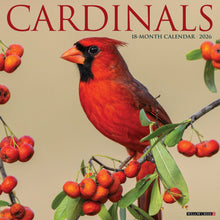 Load image into Gallery viewer, Willow Creek Cardinals 2026 12&quot; x 12&quot; Wall Calendar
