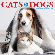Load image into Gallery viewer, Willow Creek Cats &amp; Dogs 2026 12&quot; x 12&quot; Wall Calendar
