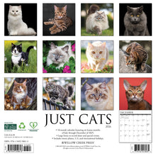Load image into Gallery viewer, Willow Creek Cats 2026 12&quot; x 12&quot; Wall Calendar

