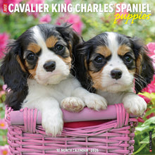 Load image into Gallery viewer, Willow Creek Cavalier King Charles Spaniel Puppie 2026 12&quot; x 12&quot; Wall Calendar
