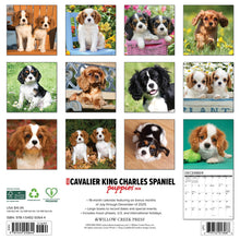 Load image into Gallery viewer, Willow Creek Cavalier King Charles Spaniel Puppie 2026 12&quot; x 12&quot; Wall Calendar
