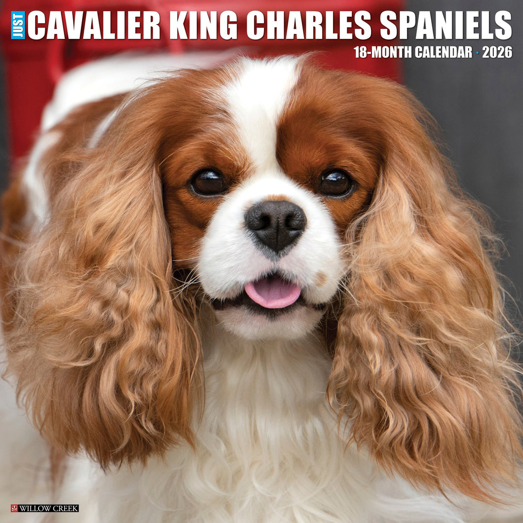 Willow Creek Cavalier King Charles Spaniels 2026 12