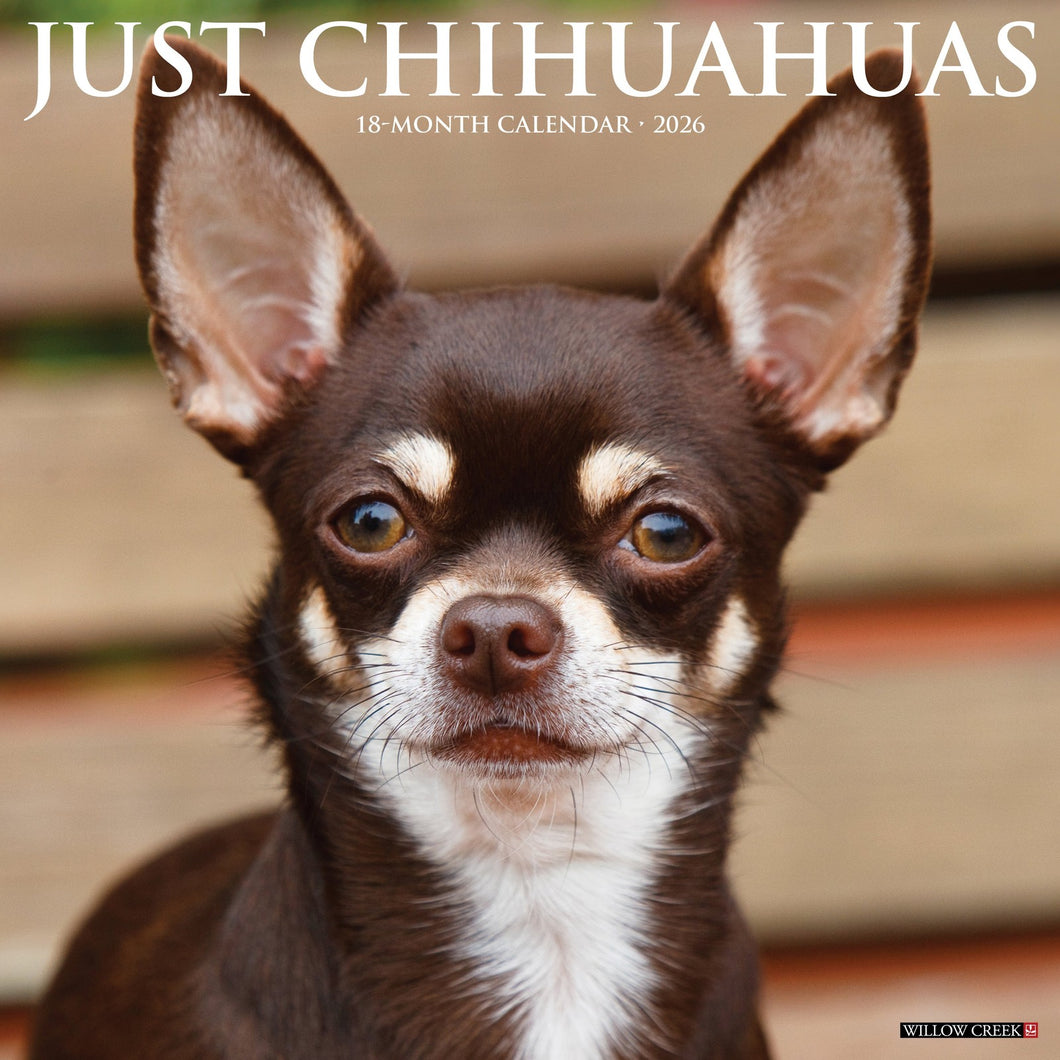 Willow Creek Chihuahuas 2026 12