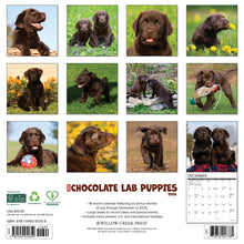 Load image into Gallery viewer, Willow Creek Chocolate Lab Puppies 2026 12&quot; x 12&quot; Wall Calendar

