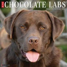 Load image into Gallery viewer, Willow Creek Chocolate Labs 2026 12&quot; x 12&quot; Wall Calendar
