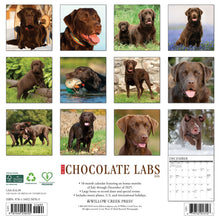 Load image into Gallery viewer, Willow Creek Chocolate Labs 2026 12&quot; x 12&quot; Wall Calendar
