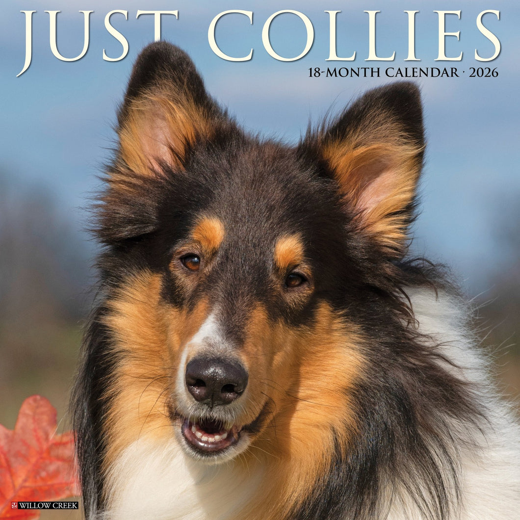 Willow Creek Collies 2026 12