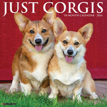 Load image into Gallery viewer, Willow Creek Corgis 2026 12&quot; x 12&quot; Wall Calendar
