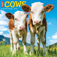 Load image into Gallery viewer, Willow Creek Cows 2026 12&quot; x 12&quot; Wall Calendar
