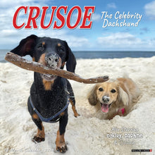Load image into Gallery viewer, Willow Creek Crusoe the Celebrity Dachshund 2026 12&quot; x 12&quot; Wall Calendar
