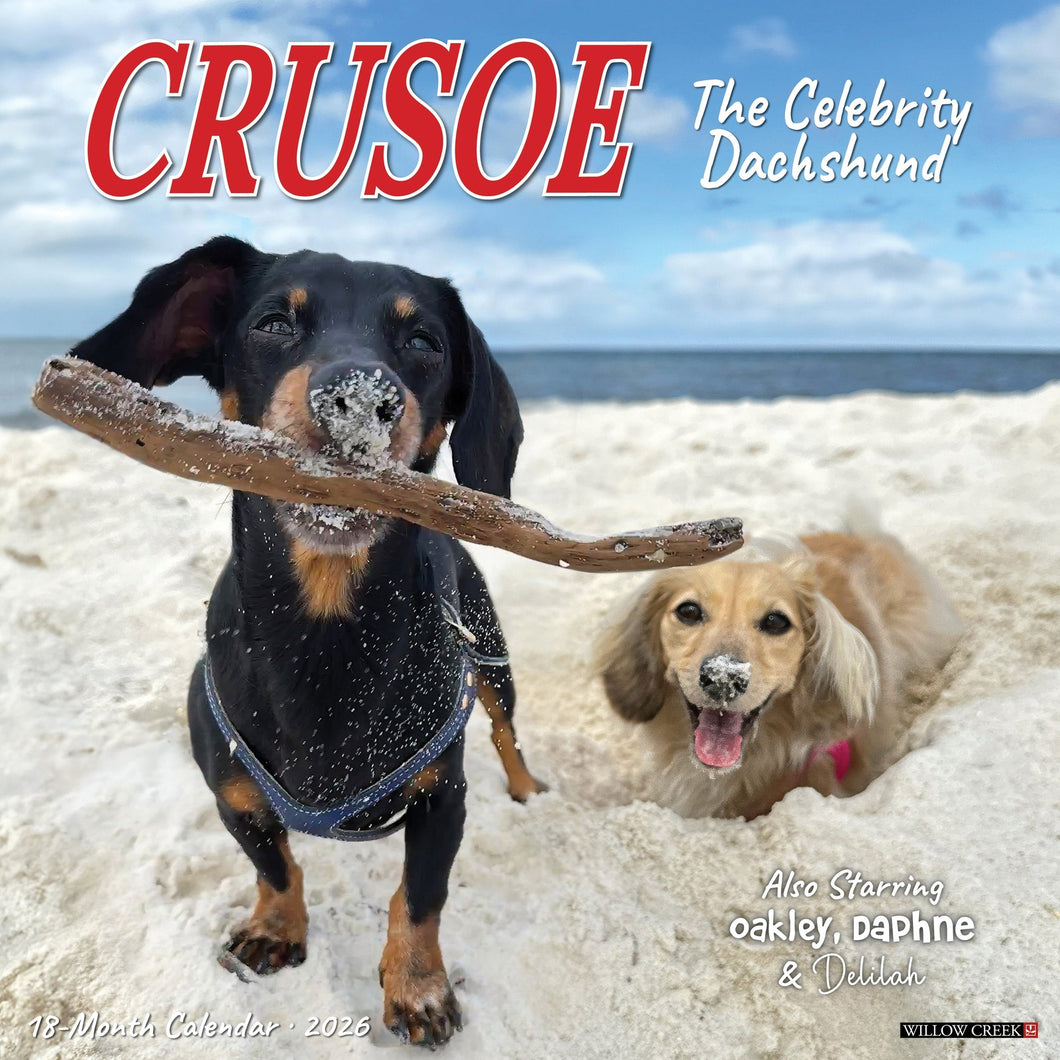 Willow Creek Crusoe the Celebrity Dachshund 2026 12