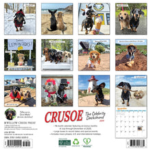 Load image into Gallery viewer, Willow Creek Crusoe the Celebrity Dachshund 2026 12&quot; x 12&quot; Wall Calendar
