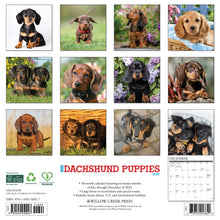 Load image into Gallery viewer, Willow Creek Dachshund Puppies 2026 12&quot; x 12&quot; Wall Calendar
