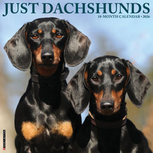 Load image into Gallery viewer, Willow Creek Dachshunds 2026 12&quot; x 12&quot; Wall Calendar
