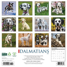 Load image into Gallery viewer, Willow Creek Dalmatians 2026 12&quot; x 12&quot; Wall Calendar
