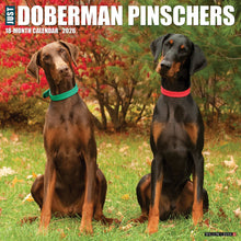 Load image into Gallery viewer, Willow Creek Doberman Pinschers 2026 12&quot; x 12&quot; Wall Calendar
