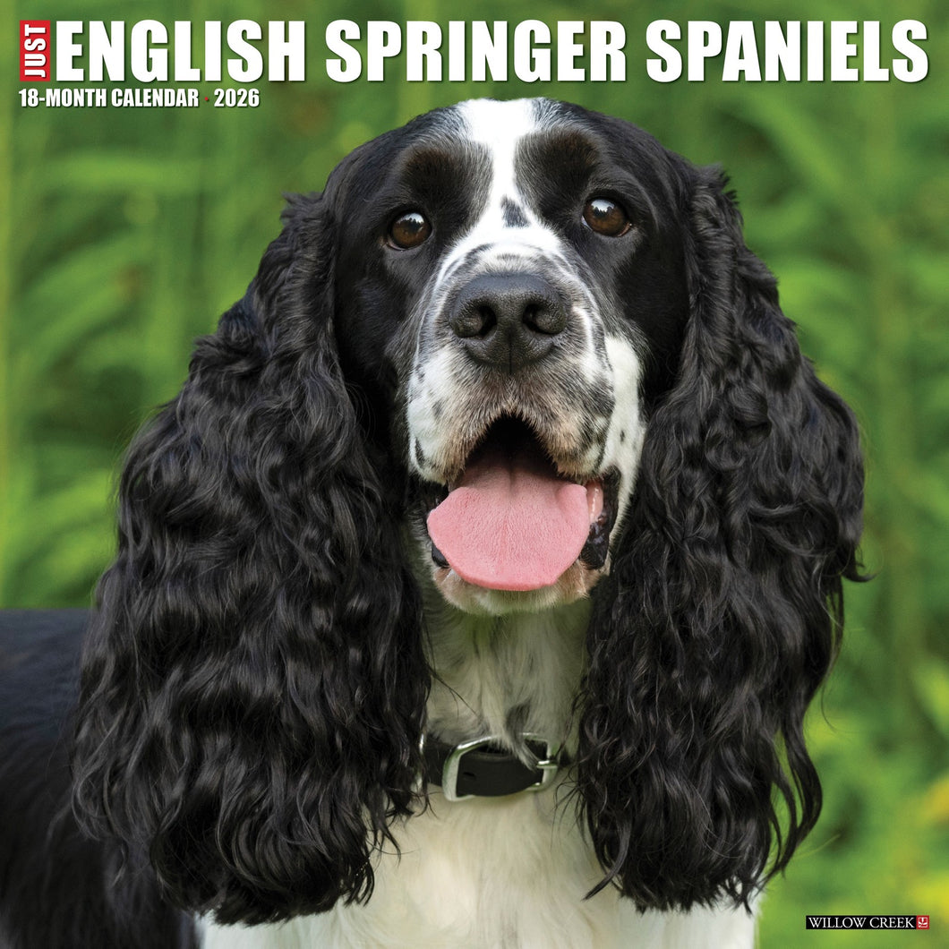 Willow Creek English Springer Spaniels 2026 12