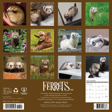 Load image into Gallery viewer, Willow Creek Ferrets 2026 12&quot; x 12&quot; Wall Calendar
