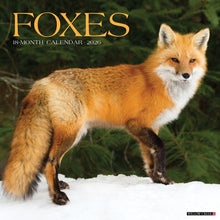 Load image into Gallery viewer, Willow Creek Foxes 2026 12&quot; x 12&quot; Wall Calendar
