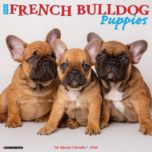 Load image into Gallery viewer, Willow Creek French Bulldog Puppies 2026 12&quot; x 12&quot; Wall Calendar
