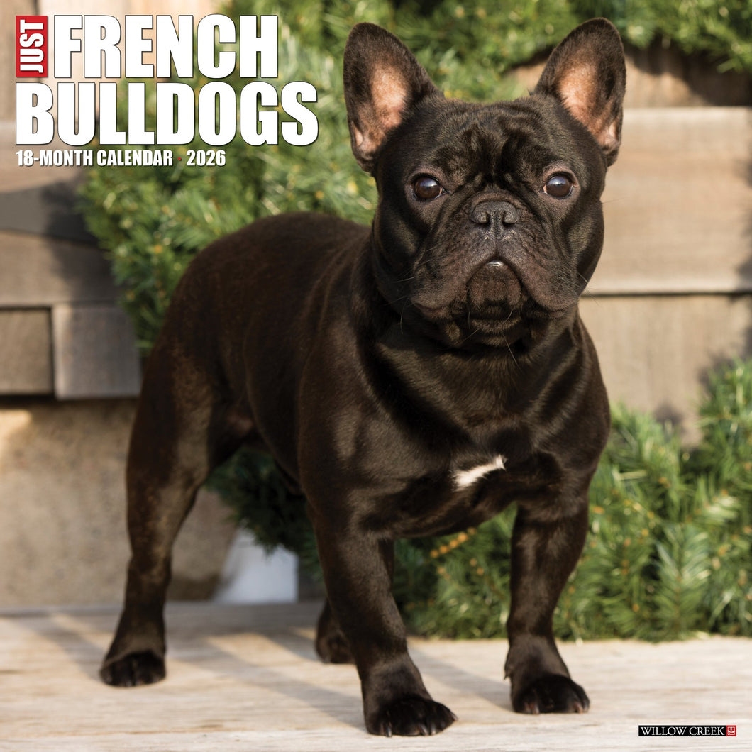 Willow Creek French Bulldogs 2026 12