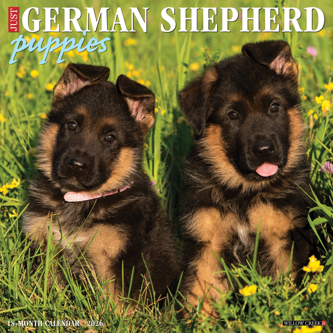 Willow Creek German Shepherd Puppies 2026 12