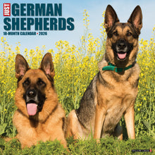Load image into Gallery viewer, Willow Creek German Shepherds 2026 12&quot; x 12&quot; Wall Calendar
