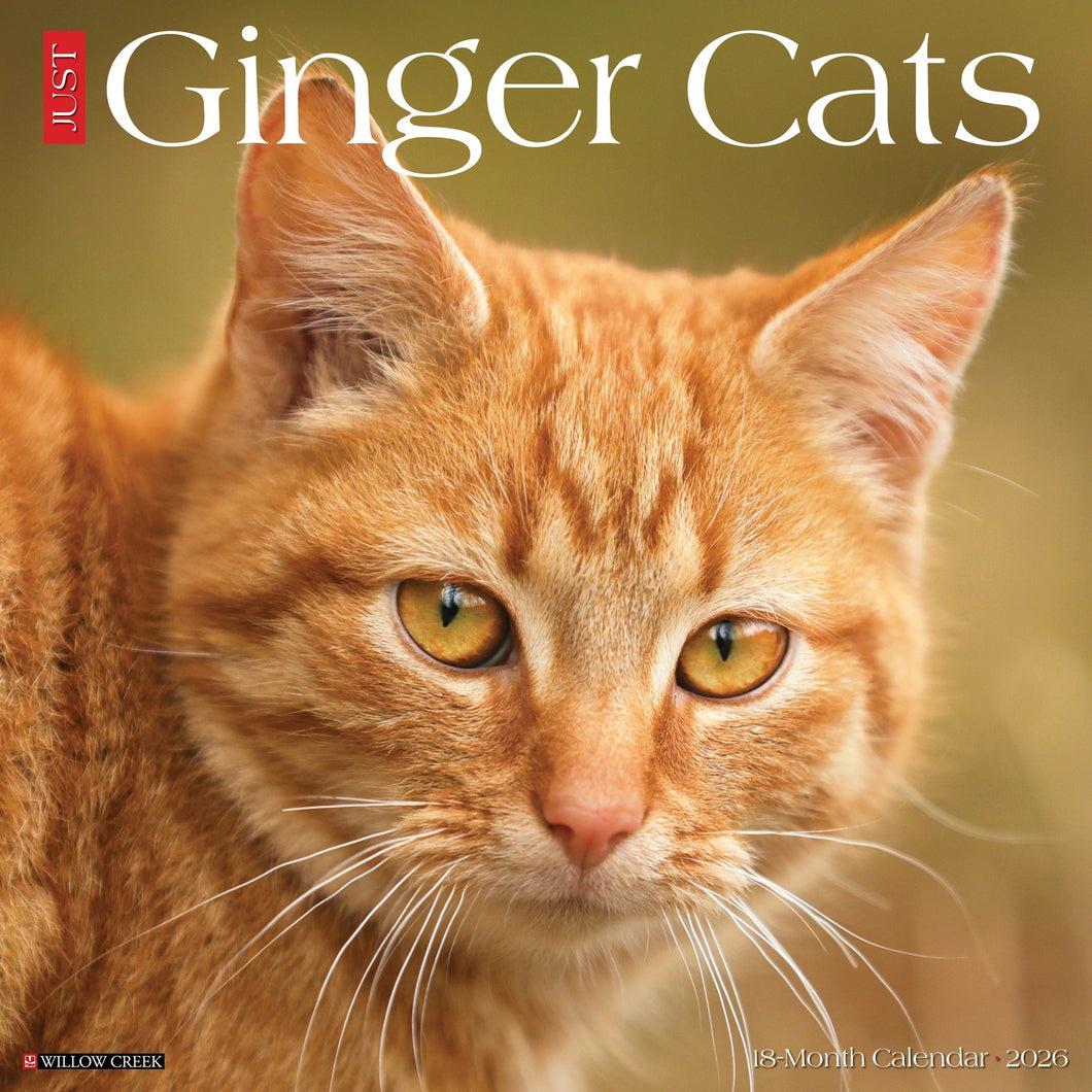 Willow Creek Ginger Cats 2026 12