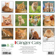 Load image into Gallery viewer, Willow Creek Ginger Cats 2026 12&quot; x 12&quot; Wall Calendar
