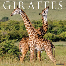 Load image into Gallery viewer, Willow Creek Giraffes 2026 12&quot; x 12&quot; Wall Calendar
