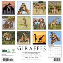 Load image into Gallery viewer, Willow Creek Giraffes 2026 12&quot; x 12&quot; Wall Calendar

