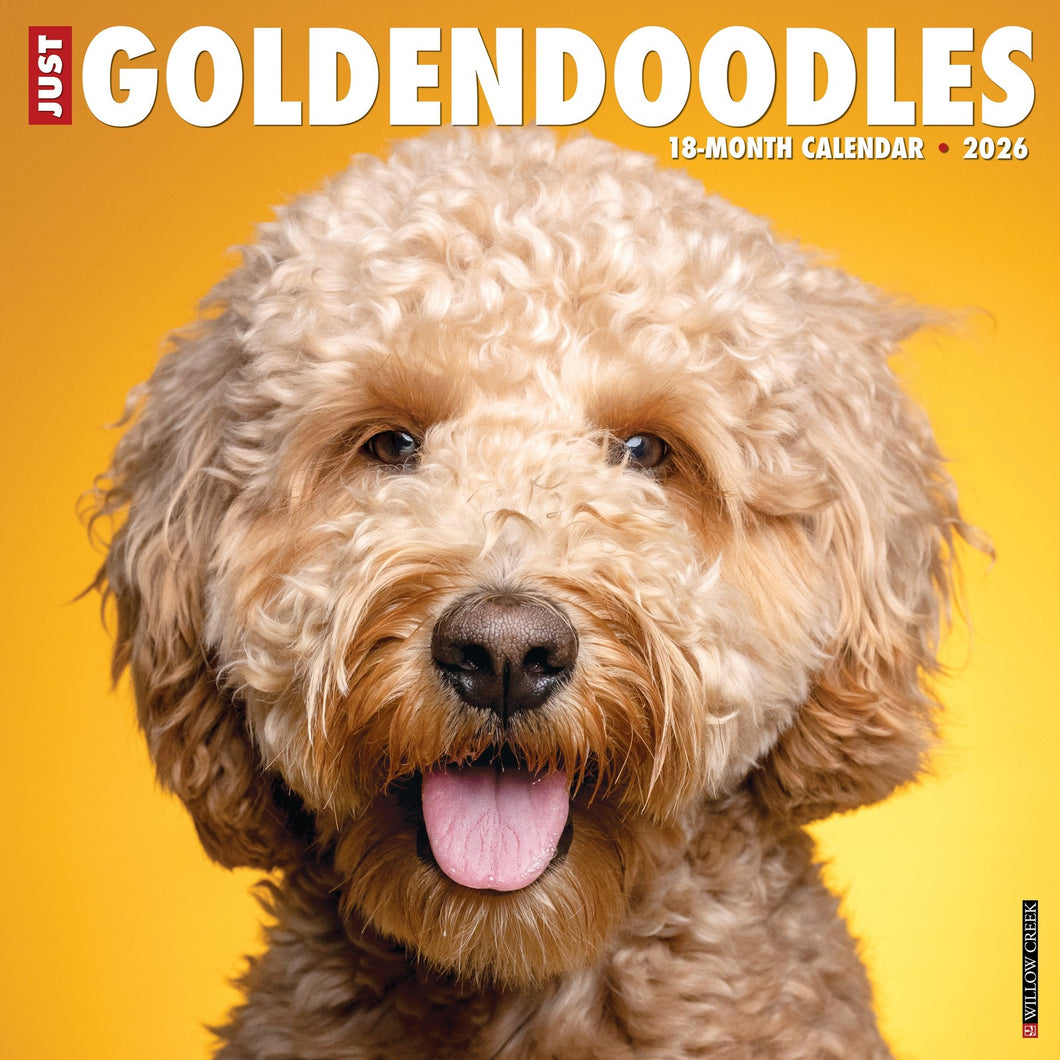 Willow Creek Goldendoodles 2026 12