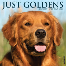 Load image into Gallery viewer, Willow Creek Goldens 2026 12&quot; x 12&quot; Wall Calendar
