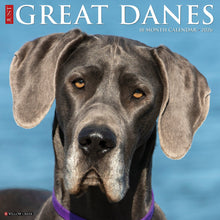 Load image into Gallery viewer, Willow Creek Great Danes 2026 12&quot; x 12&quot; Wall Calendar
