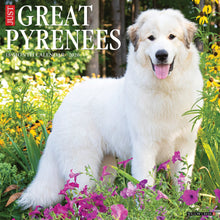 Load image into Gallery viewer, Willow Creek Great Pyrenees 2026 12&quot; x 12&quot; Wall Calendar
