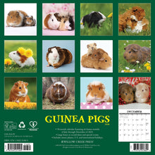 Load image into Gallery viewer, Willow Creek Guinea Pigs 2026 12&quot; x 12&quot; Wall Calendar
