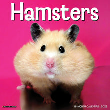 Load image into Gallery viewer, Willow Creek Hamsters 2026 12&quot; x 12&quot; Wall Calendar
