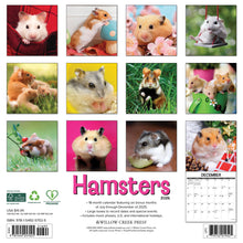Load image into Gallery viewer, Willow Creek Hamsters 2026 12&quot; x 12&quot; Wall Calendar

