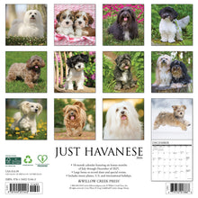 Load image into Gallery viewer, Willow Creek Havanese 2026 12&quot; x 12&quot; Wall Calendar
