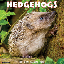Load image into Gallery viewer, Willow Creek Hedgehogs 2026 12&quot; x 12&quot; Wall Calendar
