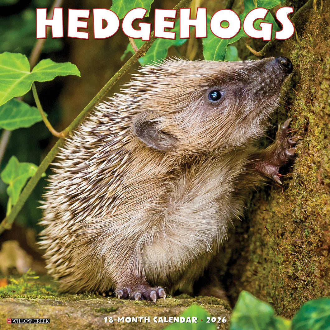 Willow Creek Hedgehogs 2026 12