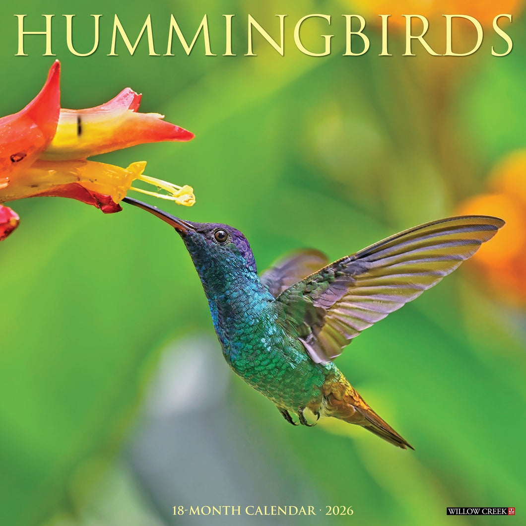 Willow Creek Hummingbirds 2026 12