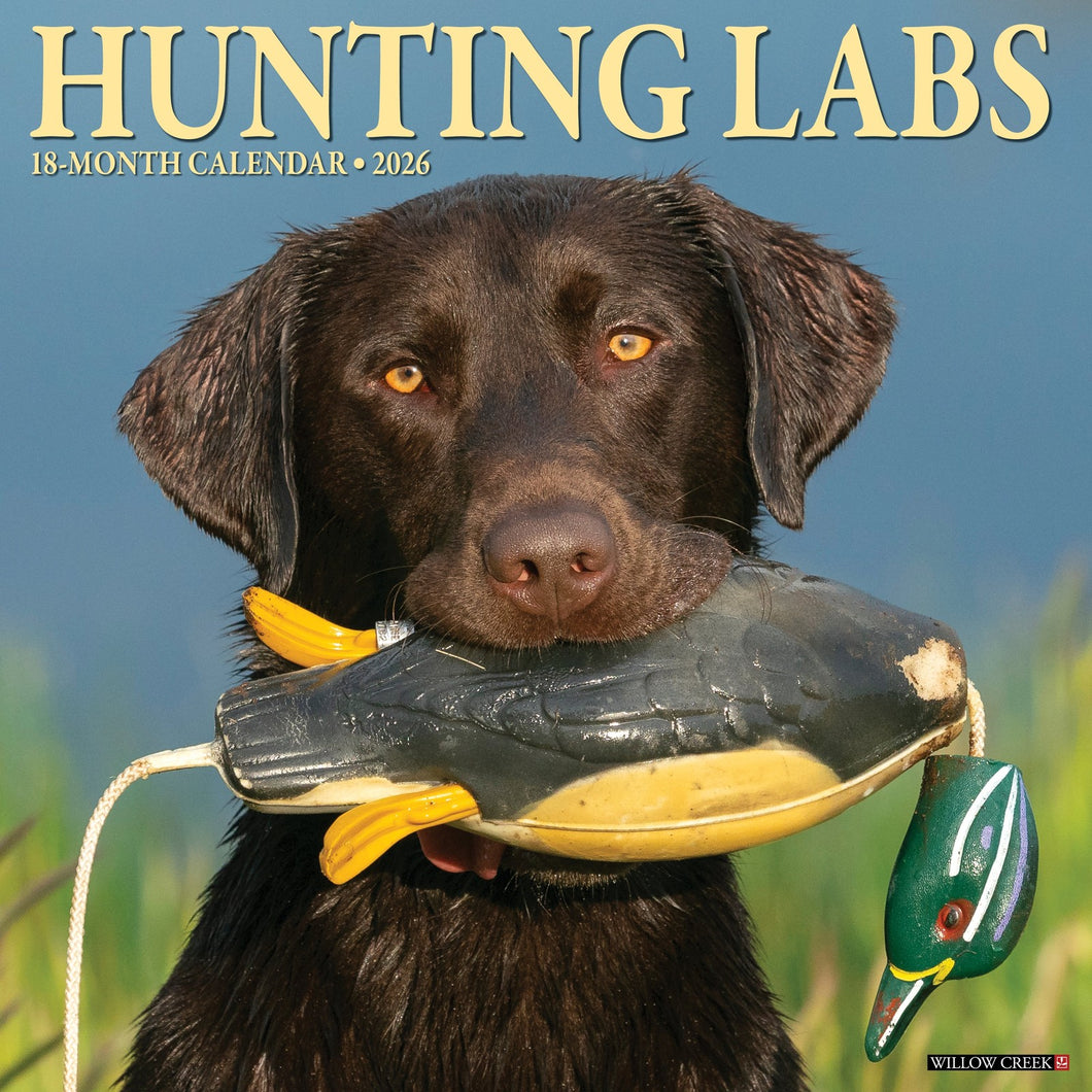 Willow Creek Hunting Labs 2026 12