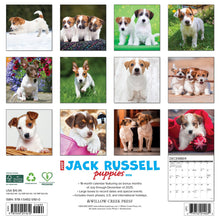 Load image into Gallery viewer, Willow Creek Jack Russell Puppies 2026 12&quot; x 12&quot; Wall Calendar
